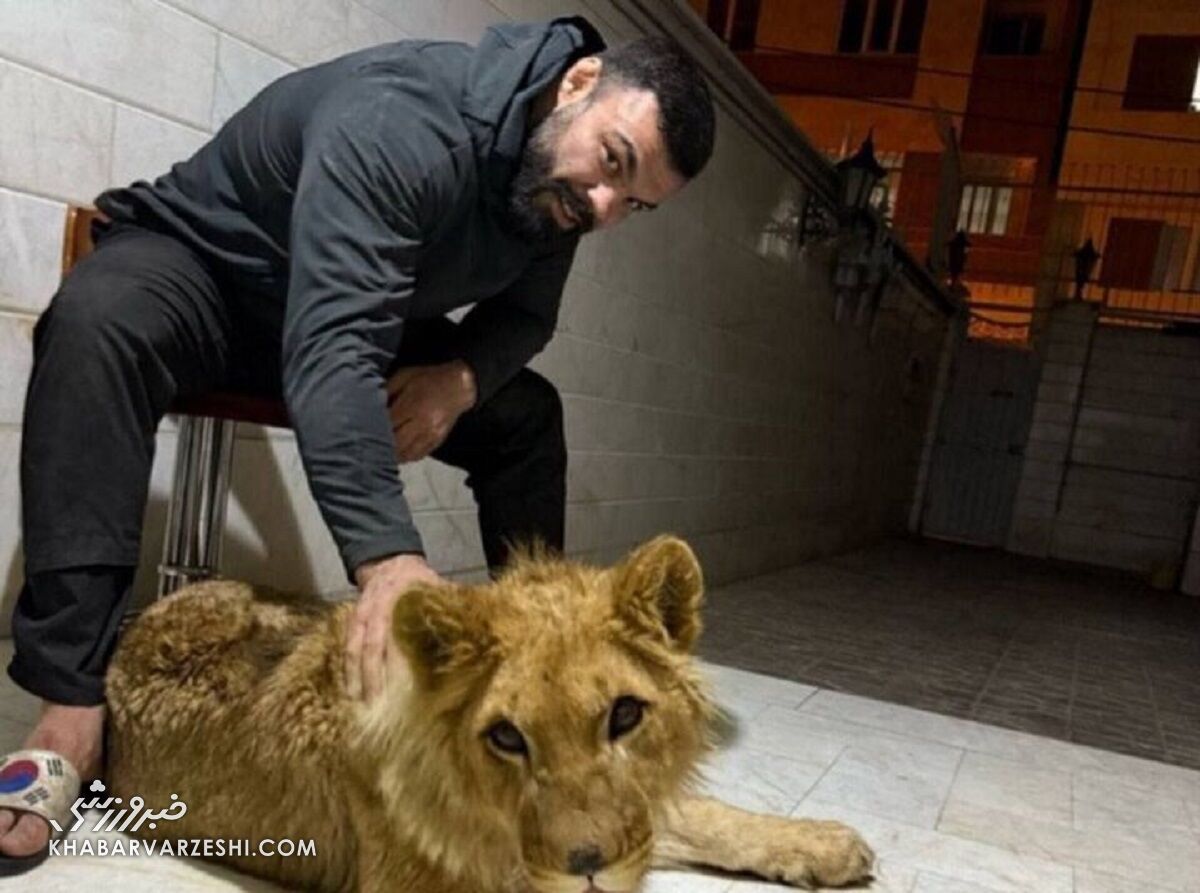 مرگ تلخ «آقا لئو»؛ توله شیر ورزشکار MMA در باغ وحش ارم +عکس مرگ تلخ «آقا لئو»؛ توله شیر ورزشکار MMA در باغ وحش ارم +عکس