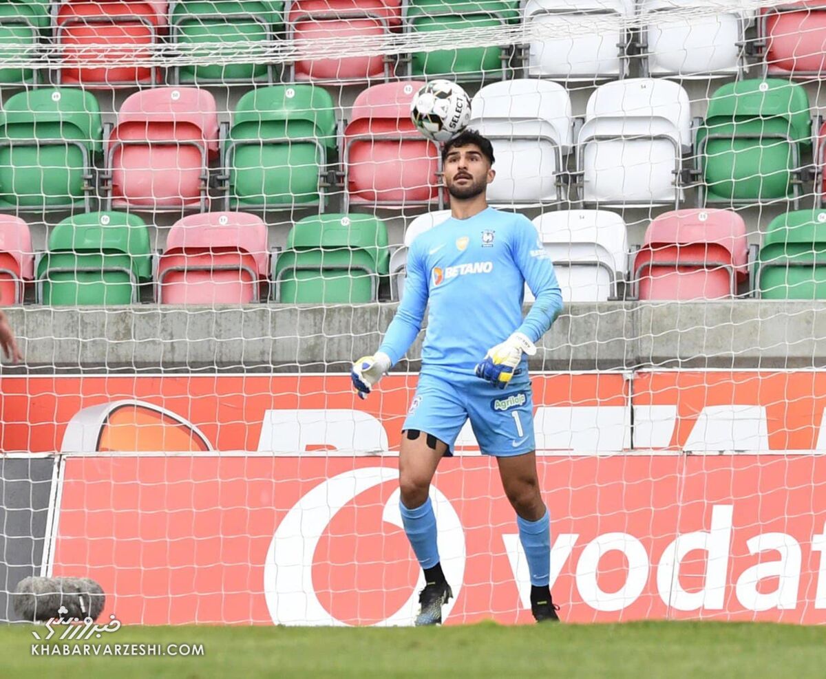 بچه عقاب مصدوم شد بچه عقاب مصدوم شد