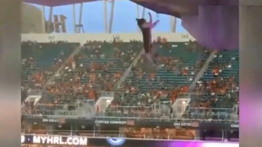 ویدیو| نجات گربه از سقوط توسط تماشاگران حاضر در ورزشگاه