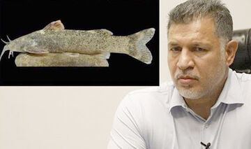 ویدیو| چرا گونه جدید ماهی به نام علی دایی نامگذاری شد؟