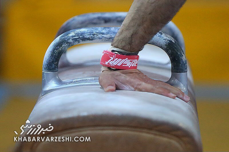 فدراسیون ژیمناستیک پلمب شد