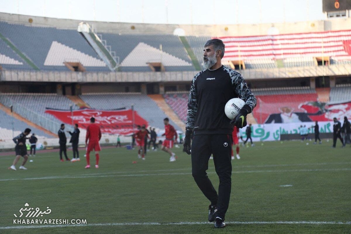 داوود فنایی