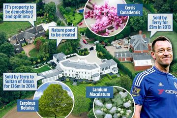 پروژه جالب در دست احداث اسطوره آبی‌ها/ حیات‌وحشی که از میان خانه رد می‌شود!