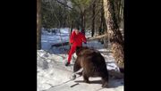 ویدیو| لایی و دریبل دوطرفه به خرس در جنگل!