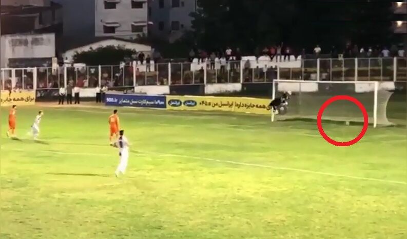 ببینید| تصمیم جنجالی داور دیدار رایکا - سایپا و اعلام گل به سود نماینده مازندران ببینید| تصمیم جنجالی داور دیدار رایکا - سایپا و اعلام گل به سود نماینده مازندران