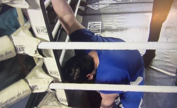 تصاویر| آبروریزی دوباره هالک ایرانی روی رینگ/ تحقیر سجاد غریبی در نخستین مبارزه واقعی را ببینید