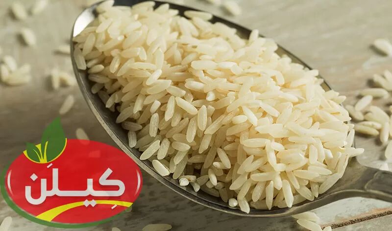 تفاوت برنج طارم، هاشمی، صدری، عنبر بو و دم سیاه چیست؟