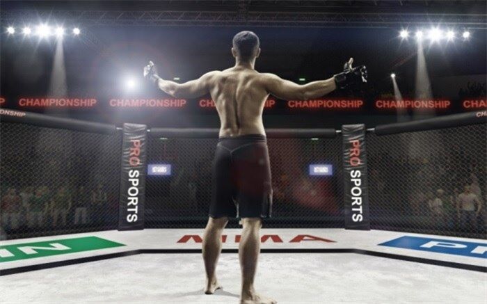 برگزاری مسابقات MMA برای اولین بار در ایران -  زمان و مکان رقابت‌ها معین شد