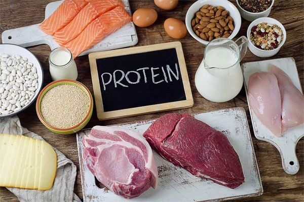 چه میزان پروتئین در بدنسازی نیاز است؟