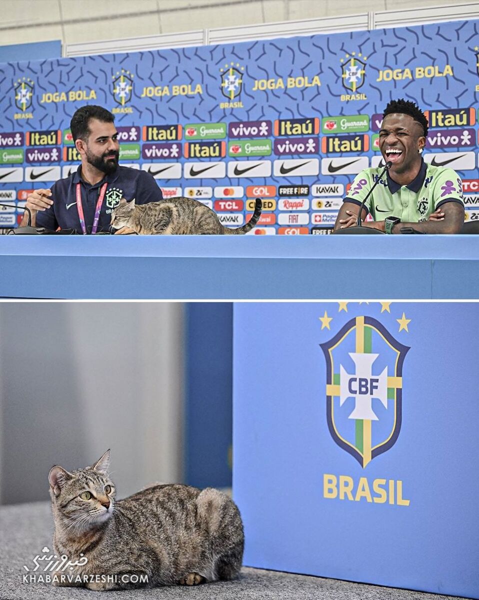 عکس | سورپرایز ستاره فوتبال با ورود یک حیوان به کنفرانس خبری! | میهمان ناخوانده در جام جهانی!