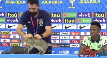 ویدیو| حضور غیر منتظره گربه در کنفرانس مطبوعاتی وینیسیوس