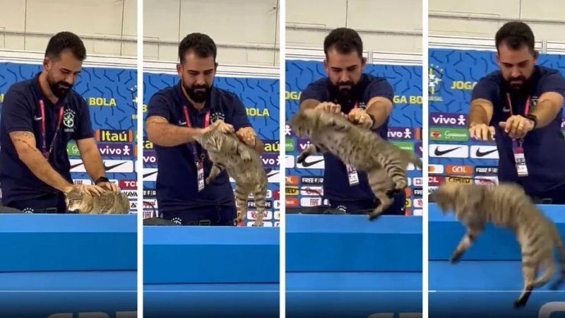 گربه خبرساز در کنفرانس خبری جام جهانی جنجال‌آفرین شد/ شکایت یک میلیون دلاری از مدیر رسانه ای