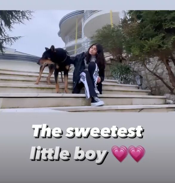 عکس| ویلای علی دایی به یک نگهبان بزرگجثه مجهز شد!