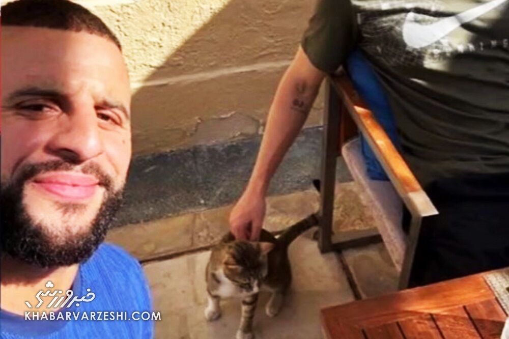 بهیادماندنیترین لحظات جامجهانی ۲۰۲۲ قطر/ از شادی گل فیک رونالدو تا کلکل مسی و امباپه!