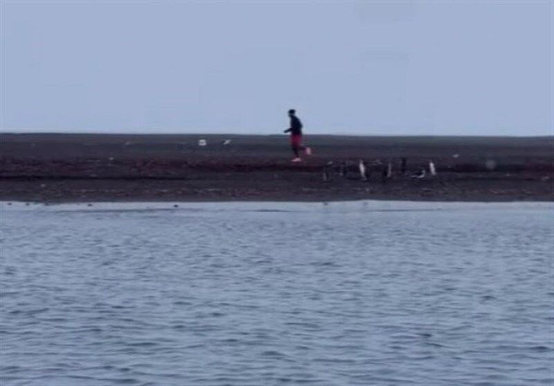 عکس| جشن تولد عجیب اسطوره ورزش در کنار پنگوئنها