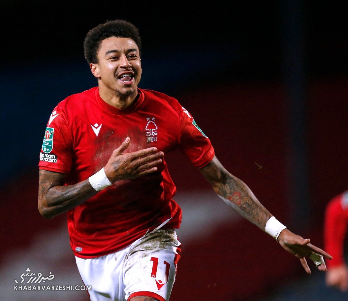 جسی لینگارد