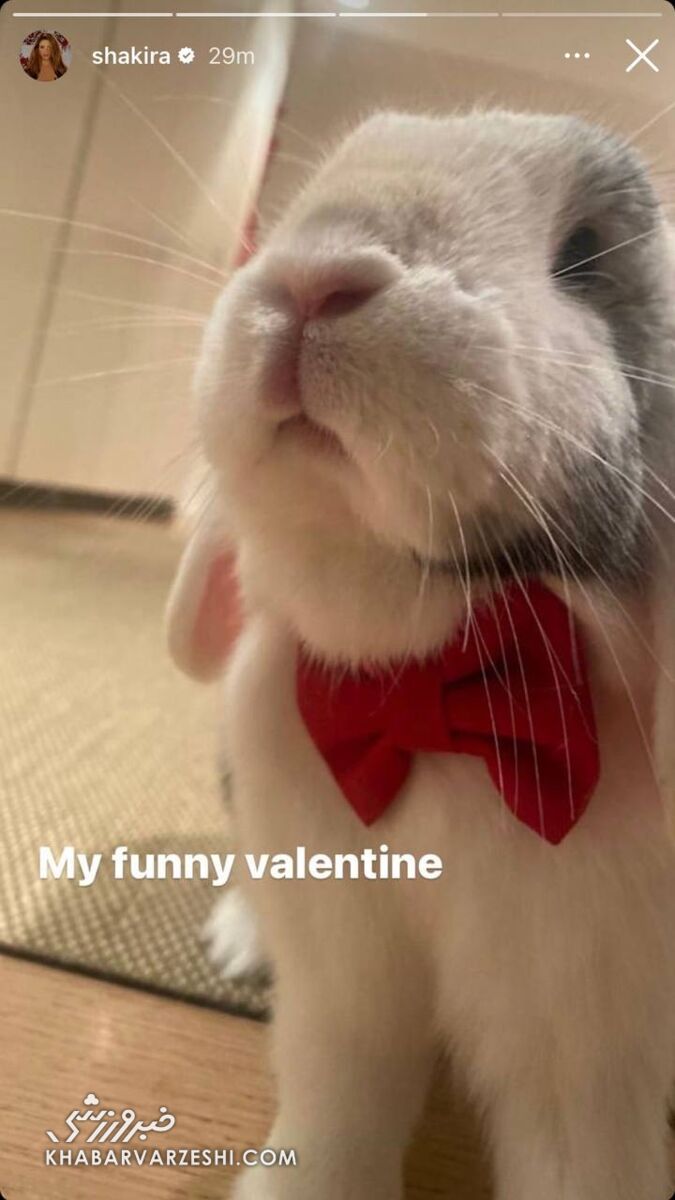 اولین ولنتاین شکیرا پس از جدایی از پیکه