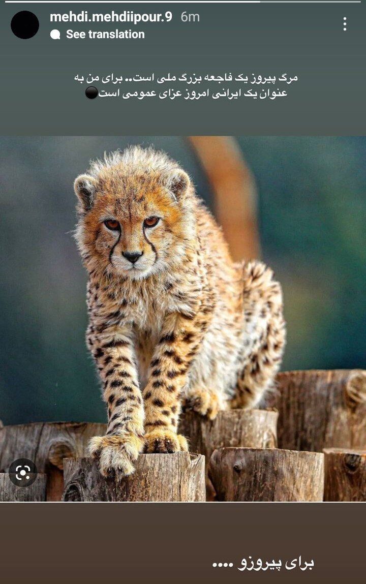 عکس| واکنش ستاره استقلال به مرگ «پیروز»/ امروز عزای عمومی است...