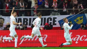 ویدیو| خلاصه دیدار لهستان ۱ - آلبانی ۰