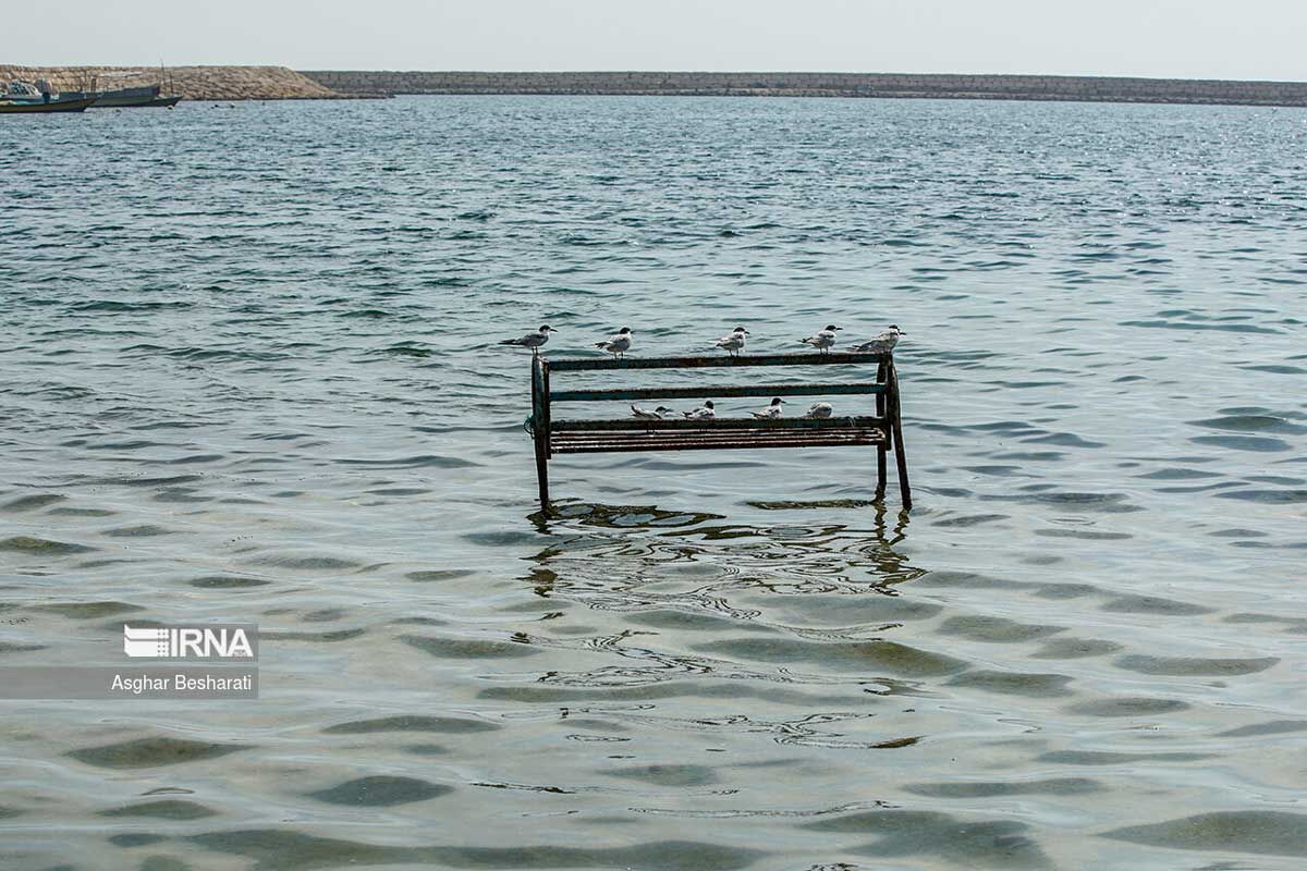 خلیج فارس خلیج فارس