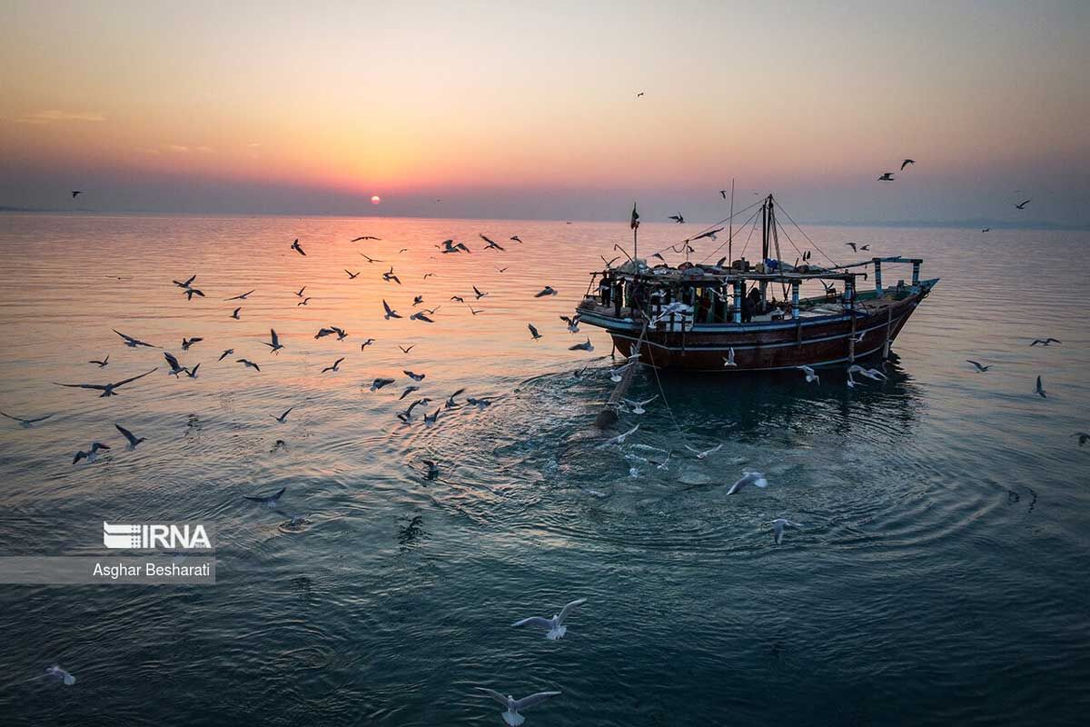 خلیج فارس خلیج فارس