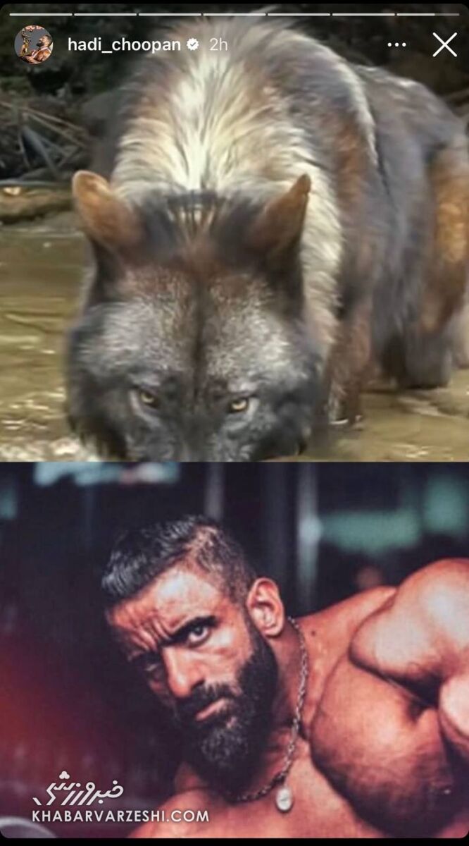 عکس| ترسناکترین تصویر از هادی چوپان/ قهرمان مسترالمپیا از گرگ ایرانی رونمایی کرد
