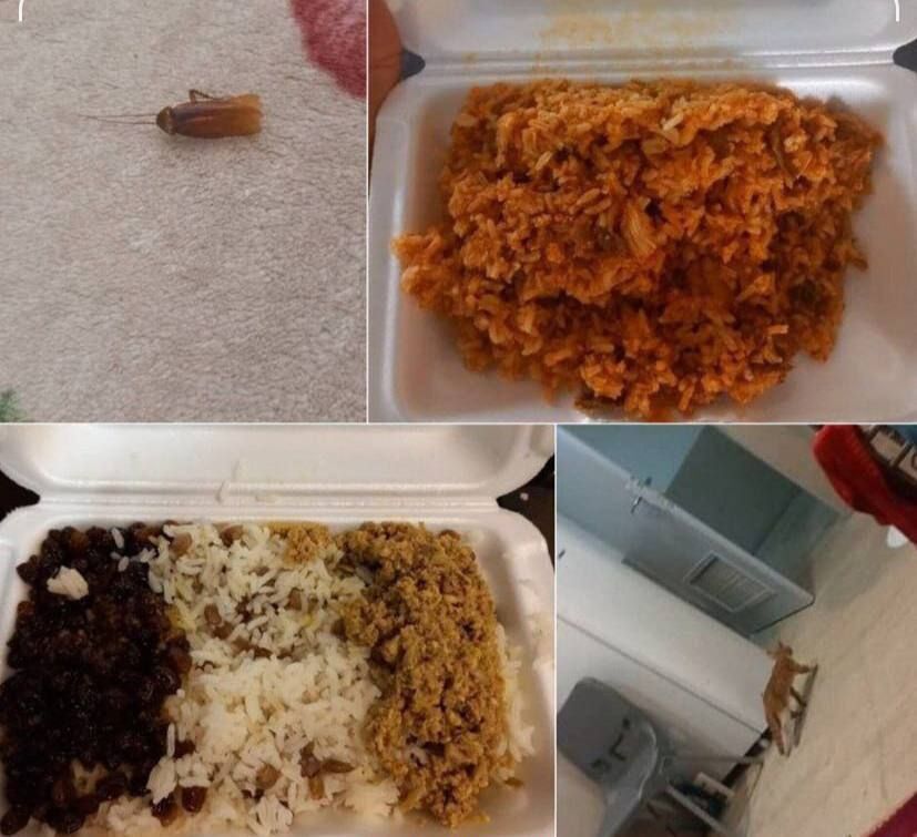 رکورددار پرتاب نیزه ایران انتقاد کرد و از خوابگاه اخراج شد/ پای سوسک و گربه در میان بود!