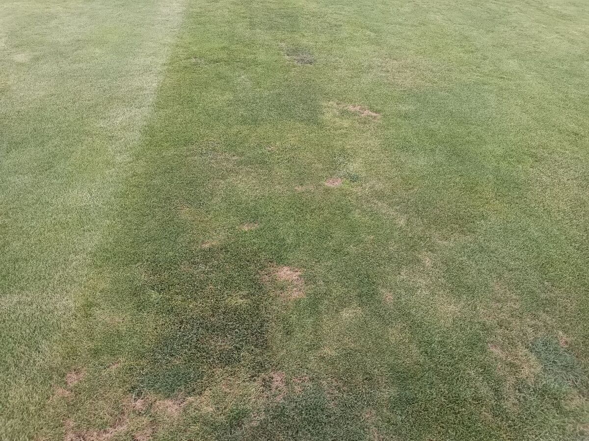 تصاویر| این فاجعهای که میبینید چمنِ مهمترین استادیوم کشور است!/ فریم به فریم شرایط اسفناک ورزشگاه آزادی