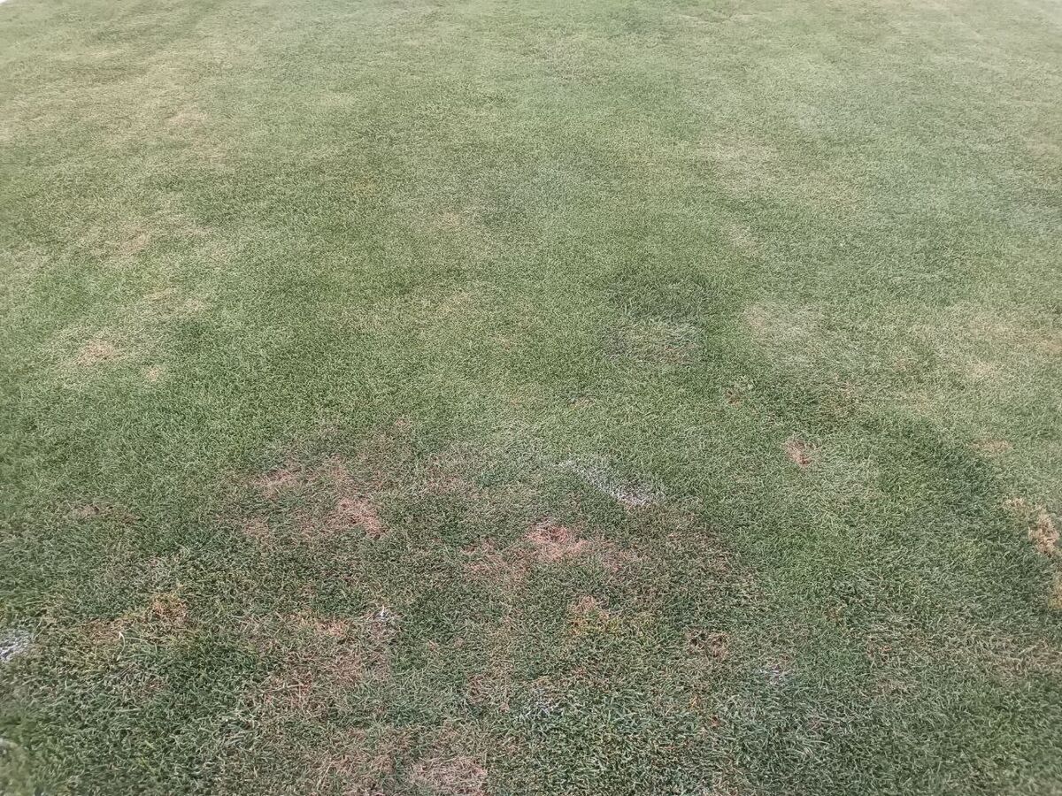 تصاویر| این فاجعهای که میبینید چمنِ مهمترین استادیوم کشور است!/ فریم به فریم شرایط اسفناک ورزشگاه آزادی