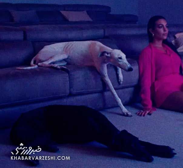 عکس| جورجینا رودریگس با انتشار این تصویر مورد انتقاد قرار گرفت!