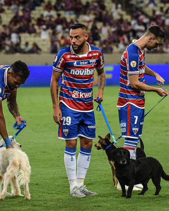 عکس| جالب‌ترین ورود به زمین تاریخ فوتبال/ سگ‌های بی‌پناه خوشبخت شدند