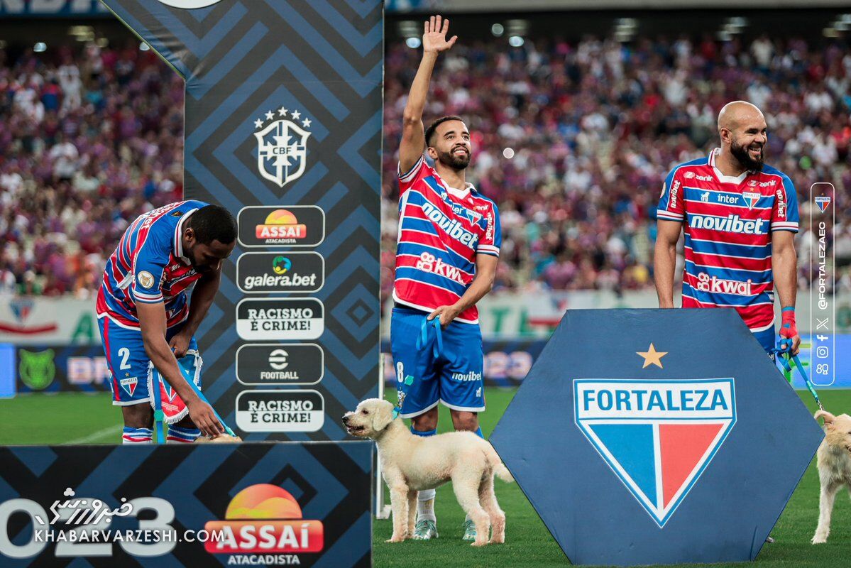 عکس| جالب ترین ورود به زمین تاریخ فوتبال/ سگ های بی پناه خوشبخت شدند