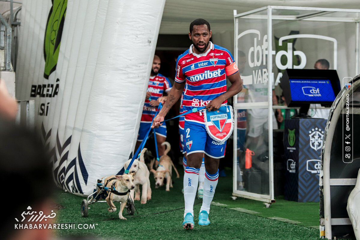عکس| جالب ترین ورود به زمین تاریخ فوتبال/ سگ های بی پناه خوشبخت شدند