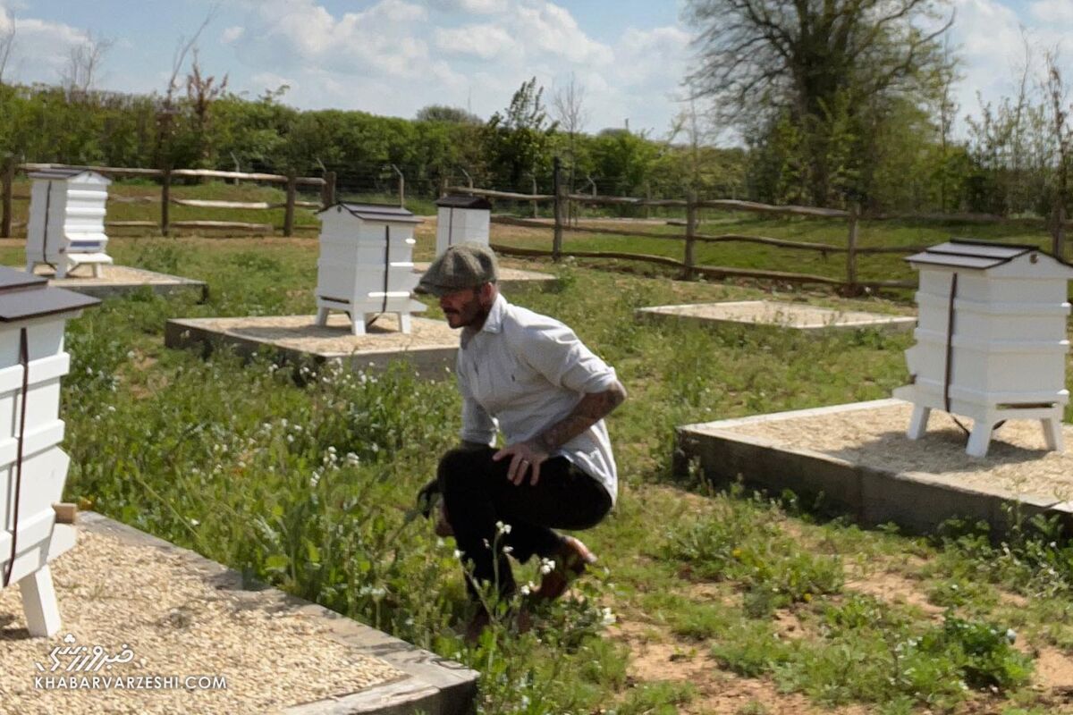 عکس| سرگرمیهای بزرگ دیوید بکام را نمیتوانید حدس بزنید!