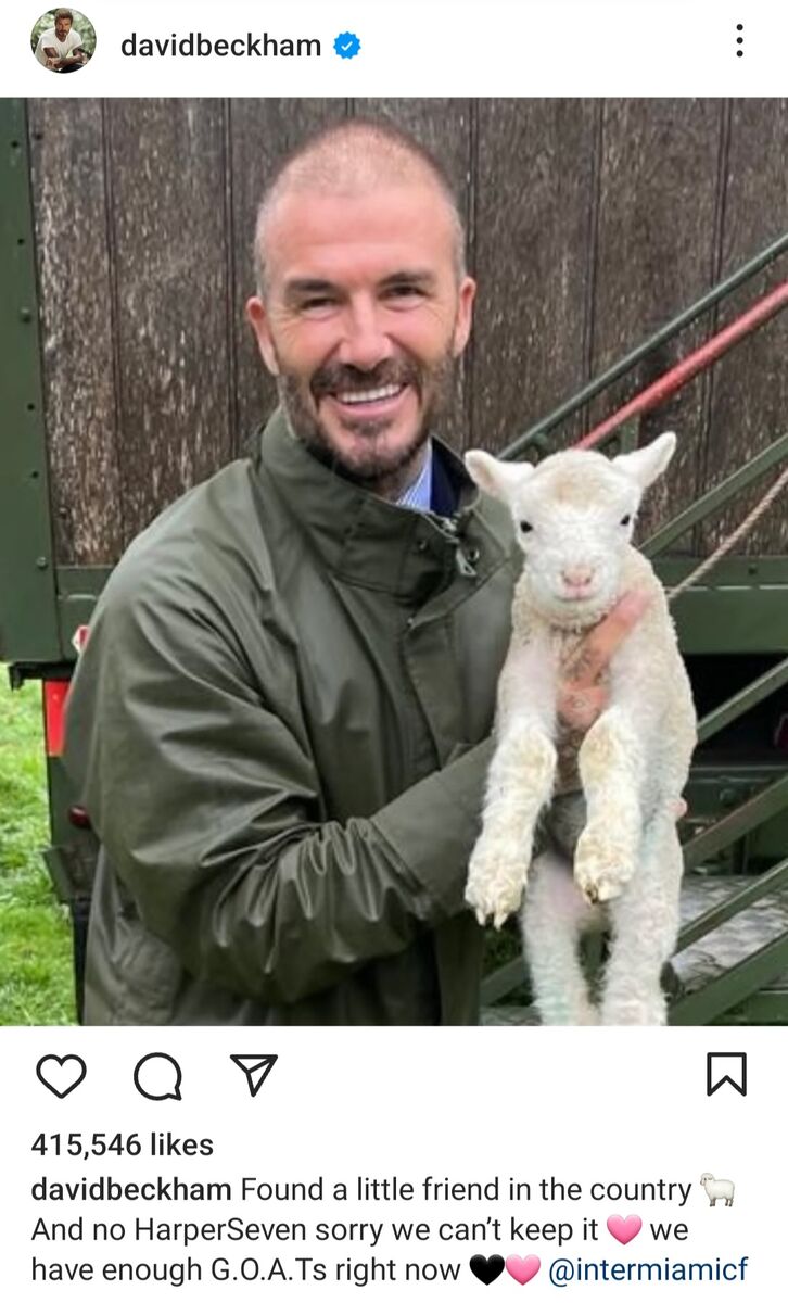 عکس| متن خندهدار بکام برای پست اینستاگرامی با اشاره به توپطلای مسی؛ متأسفم دخترم ما به اندازه کافی «بُز» داریم!