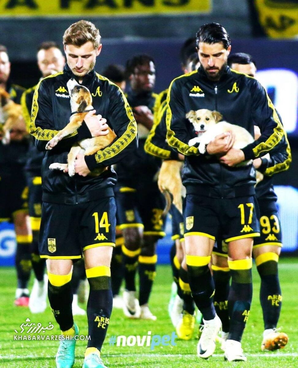 عکس| عاشقانه کاپیتان تیم ملی با یک سگ خانگی در زمین فوتبال