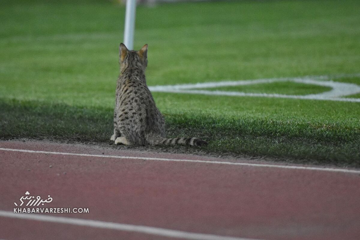 عکس| قشنگترین قاب یک هشتم نهایی جام حذفی