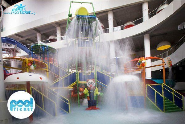 شنا و درمان دیسک کمر