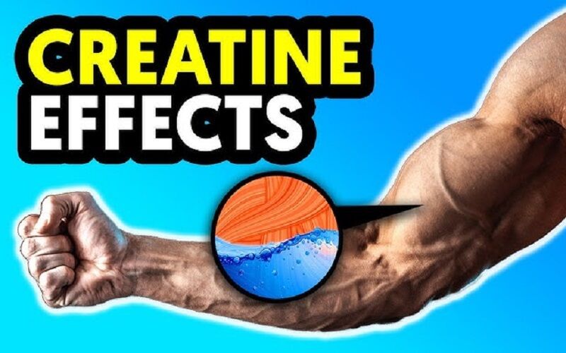 چرخه مصرف کراتین