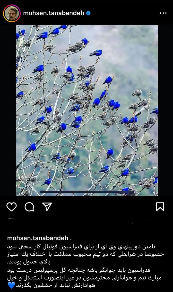 عکس| اعتراض جدی نقی معمولی به فدراسیون فوتبال/ استقلالیها نباید از حقشان بگذرند!