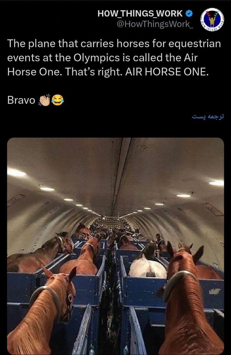 عکس| بلیط فرست کلاس برای اسبهای المپیکی