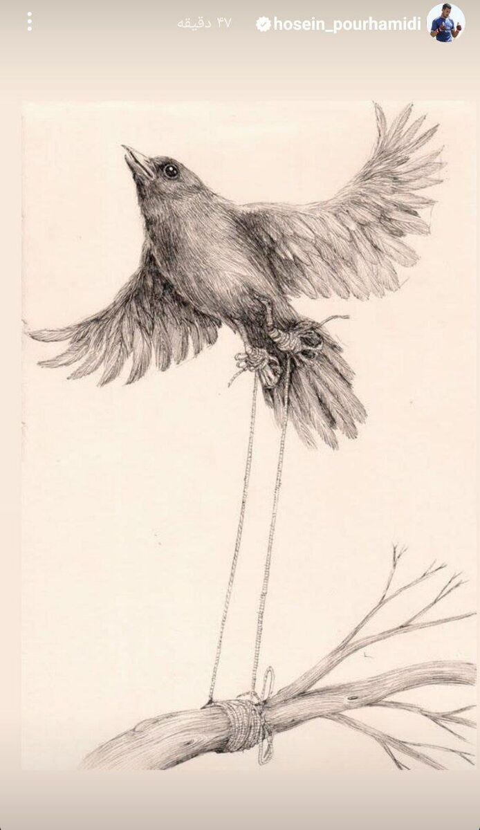 عکس| حسین پورحمیدی؛ من یه پرنده ام.../ اعتراض خاموش دروازهبان نیمکت نشین تراکتور