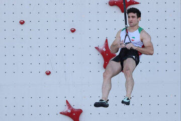 مرد عنکبوتی ایران به فینال جام جهانی رسید! مرد عنکبوتی ایران به فینال جام جهانی رسید!