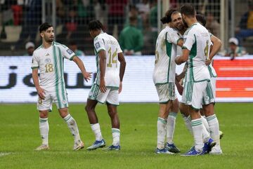 فِنِک‌ها دوباره در دنیا می‌درخشند؛ الجزایر راهی جام جهانی شد!