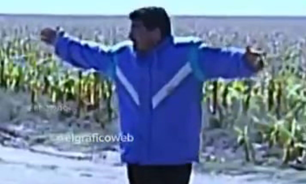 یک روز با دن دیه گو؛ به بهانه آشکار شدن راز قتل مارادونا/ خدا چگونه تمرین می کرد + فیلم یک روز با دن دیه گو؛ به بهانه آشکار شدن راز قتل مارادونا/ خدا چگونه تمرین می کرد + فیلم