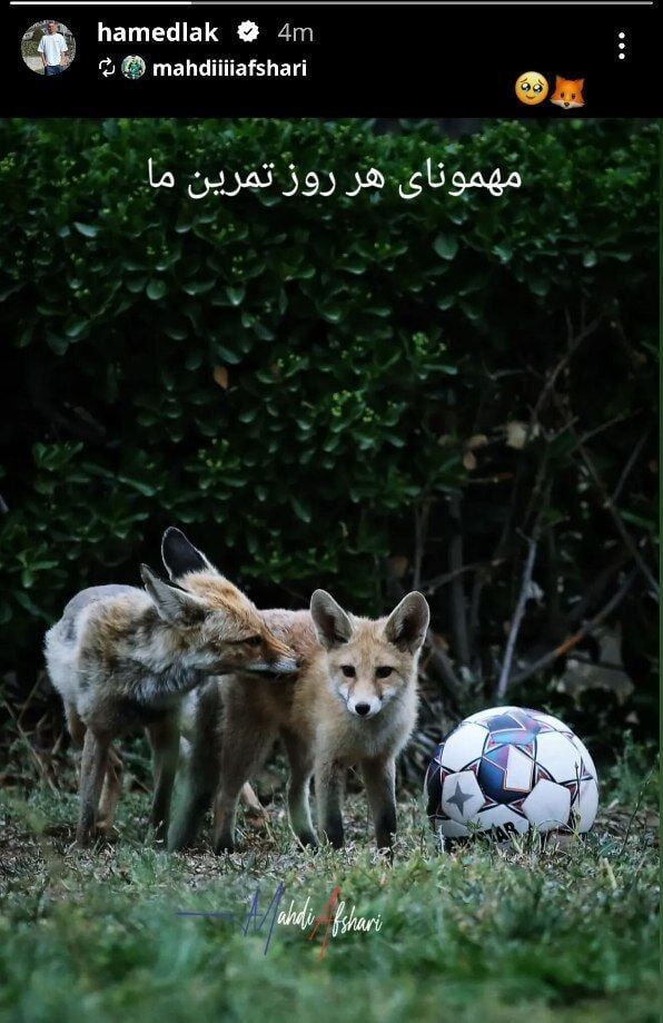 حامد لک منتشر کرد؛ حضور میهمانان مکار در تمرین مس رفسنجان!