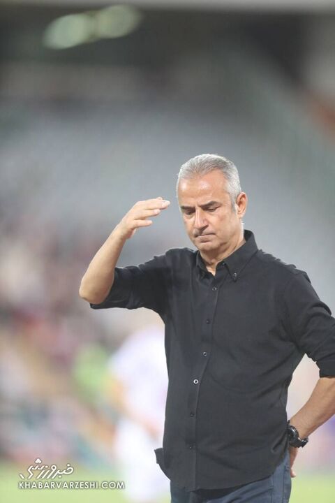 پرسپولیس هوادار