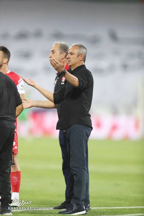 پرسپولیس هوادار