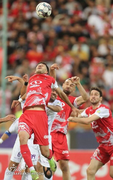 پرسپولیس هوادار