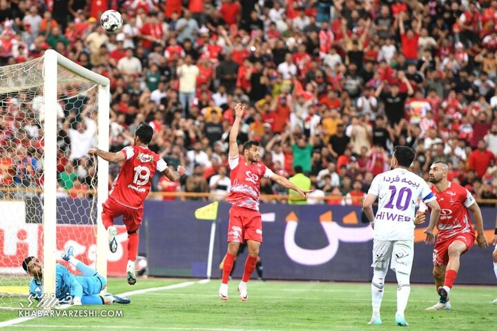 پرسپولیس هوادار